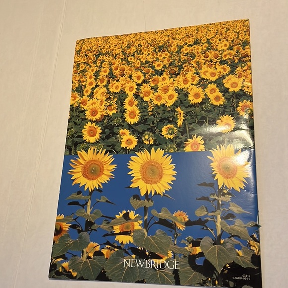 BIG BOOK: More or Less - Picture 2 of 6